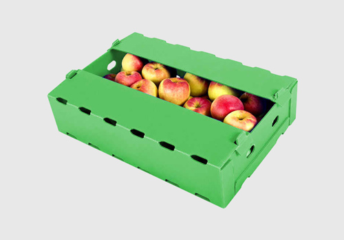 Agriculture (Food)